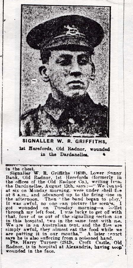 Reg wounded at Suvla Bay