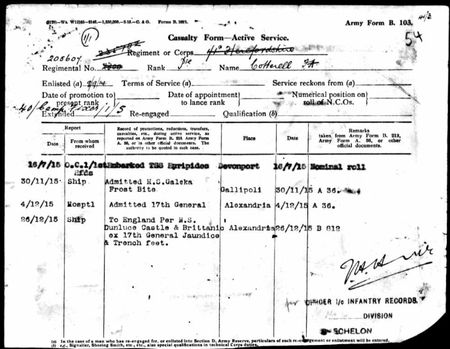 The extract from Pte Cotterell's service records showing his evacuation from Gallipoli.